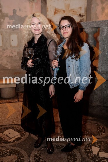 Tomaž Domicelj, peta akustika na Ljubljana festivalu