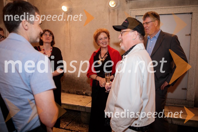 Tomaž Domicelj, peta akustika na Ljubljana festivalu