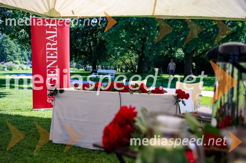 Generalijevo drevo optimizma