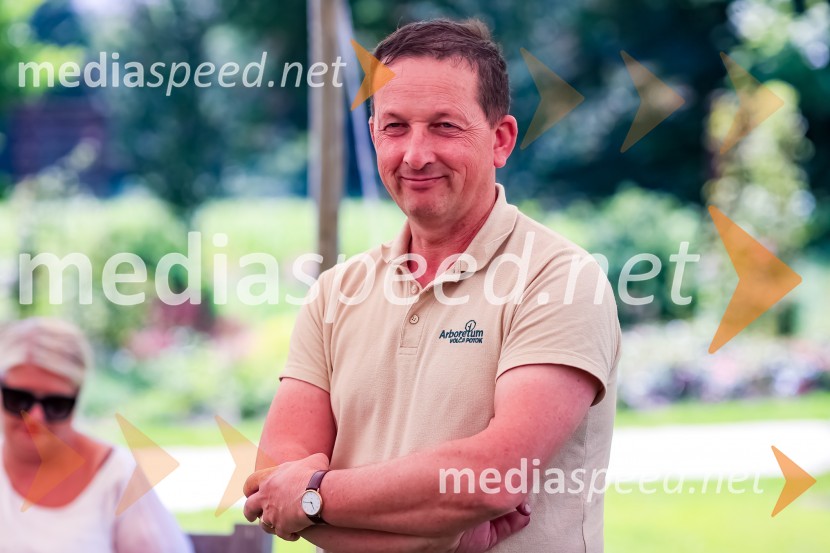 Generalijevo drevo optimizma