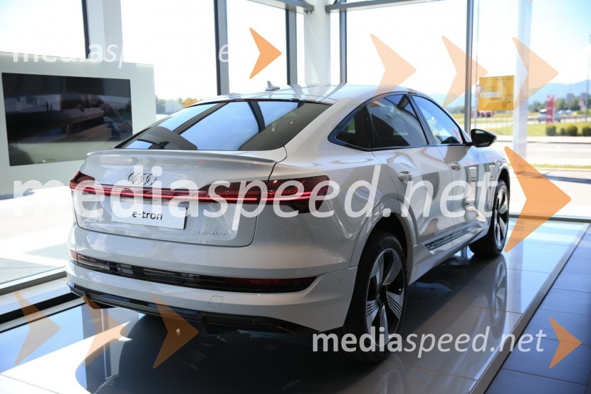 Prvič prikazan novi Audi E-tron