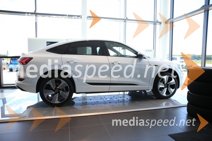 Prvič prikazan novi Audi E-tron