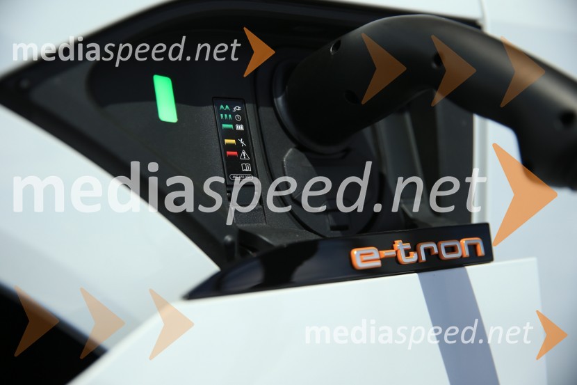 Prvič prikazan novi Audi E-tron