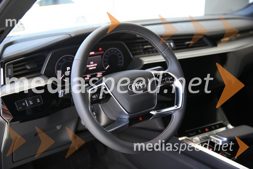 Prvič prikazan novi Audi E-tron
