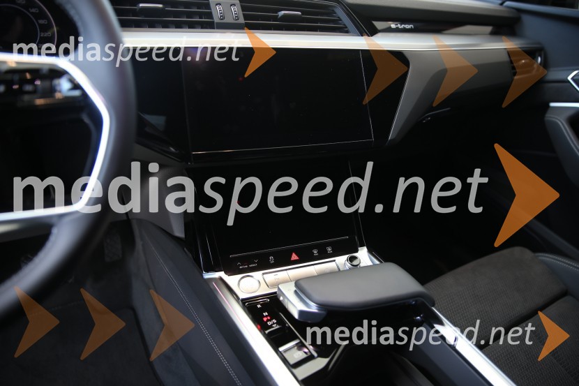 Prvič prikazan novi Audi E-tron