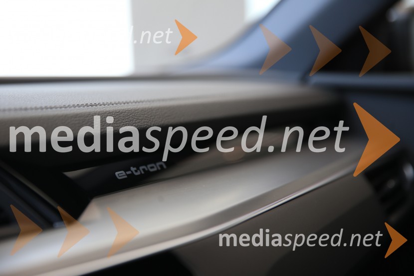 Prvič prikazan novi Audi E-tron