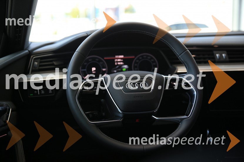 Prvič prikazan novi Audi E-tron