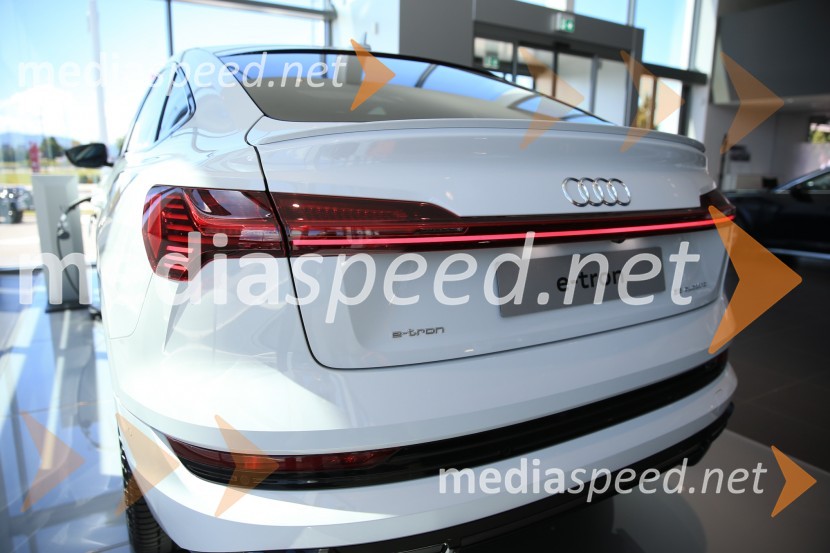 Prvič prikazan novi Audi E-tron