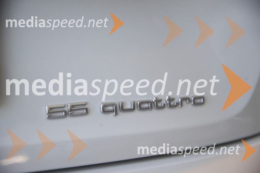 Prvič prikazan novi Audi E-tron