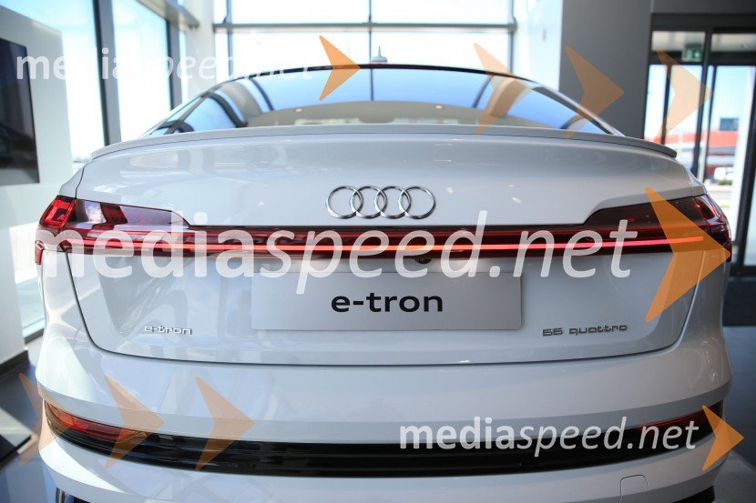 Prvič prikazan novi Audi E-tron