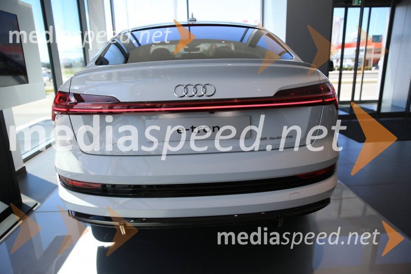 Prvič prikazan novi Audi E-tron