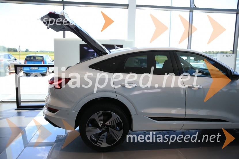Prvič prikazan novi Audi E-tron