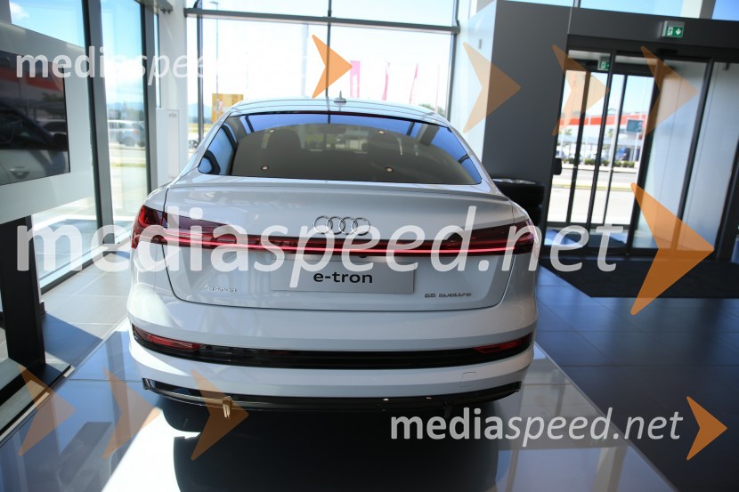 Prvič prikazan novi Audi E-tron