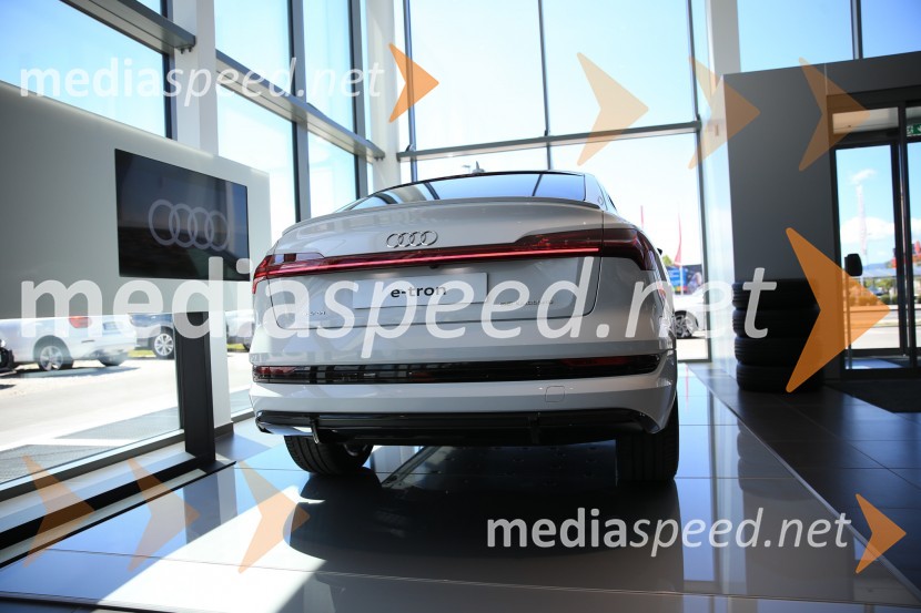 Prvič prikazan novi Audi E-tron