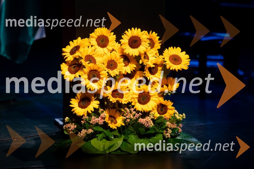 Milan Kučan, častni občan MO Murska Sobota