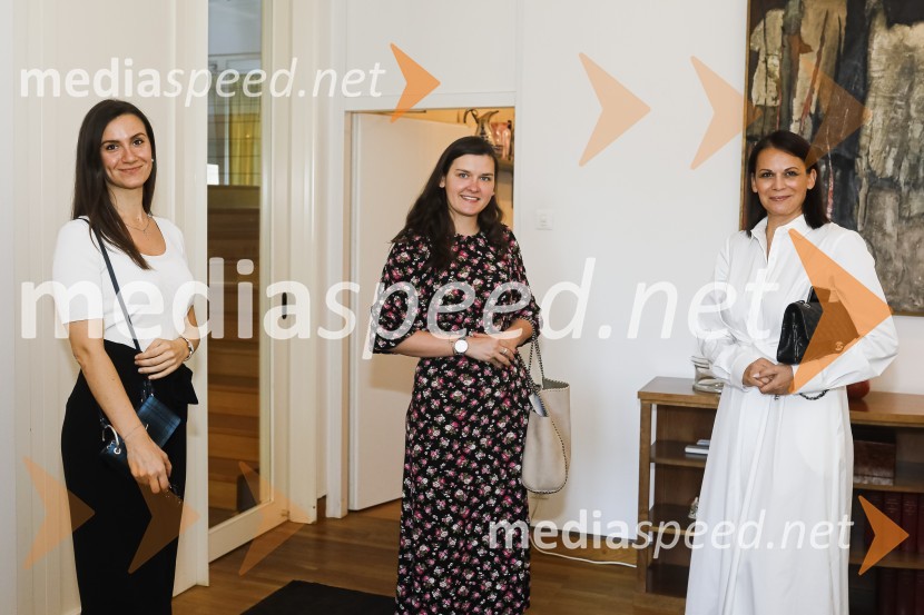  ... ;  Ana  Pavlič, članica IPES;  ... SILA Zagon kampanje proti nasilju v družini