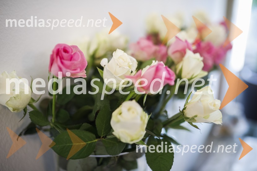 SILA Zagon kampanje proti nasilju v družini