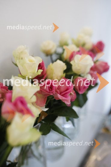 SILA Zagon kampanje proti nasilju v družini