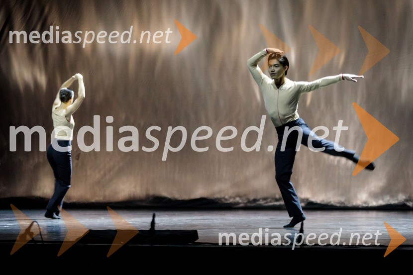 Falling Angels, balet v izvedbi Opera Balet SNG Maribor, 68. Ljubljana festival