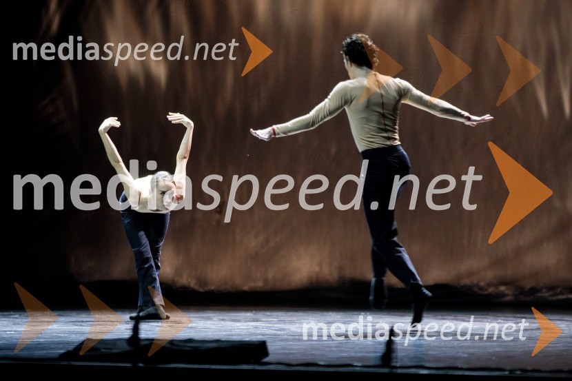 Falling Angels, balet v izvedbi Opera Balet SNG Maribor, 68. Ljubljana festival