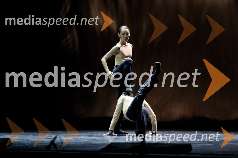 Falling Angels, balet v izvedbi Opera Balet SNG Maribor, 68. Ljubljana festival