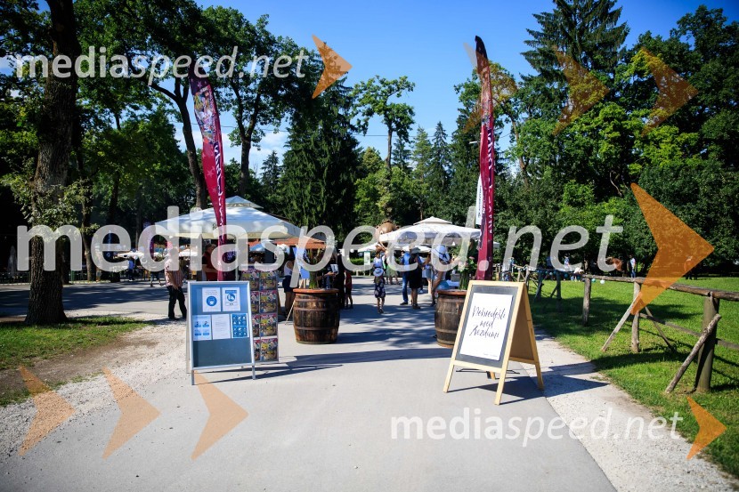 Zvezde pod klobuki 2020