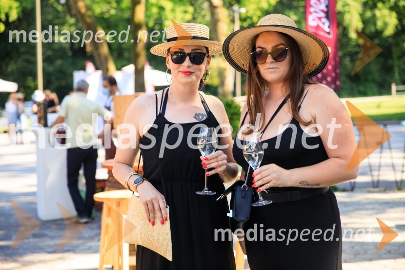 Zvezde pod klobuki 2020