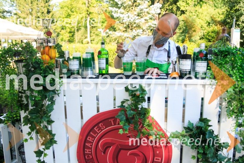 Zvezde pod klobuki 2020