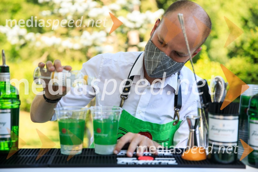 Zvezde pod klobuki 2020