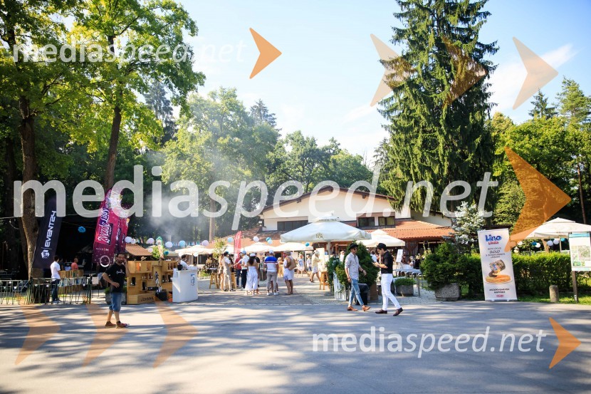 Zvezde pod klobuki 2020