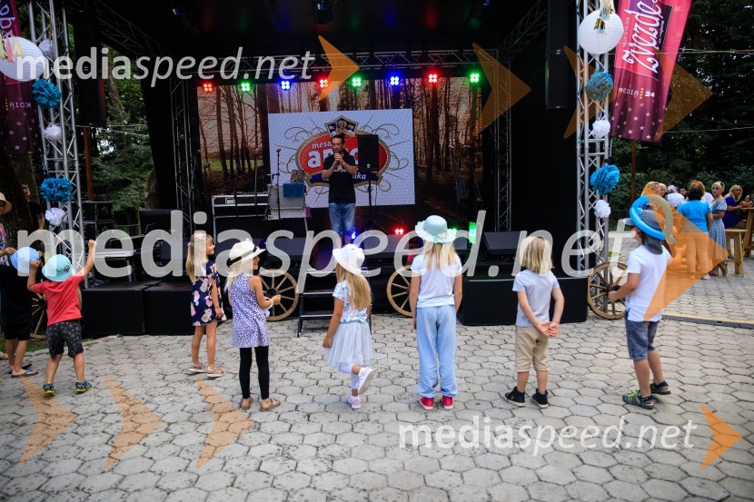 Zvezde pod klobuki 2020