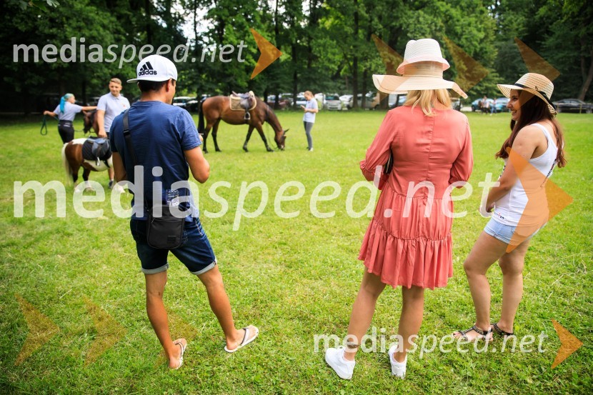 Zvezde pod klobuki 2020