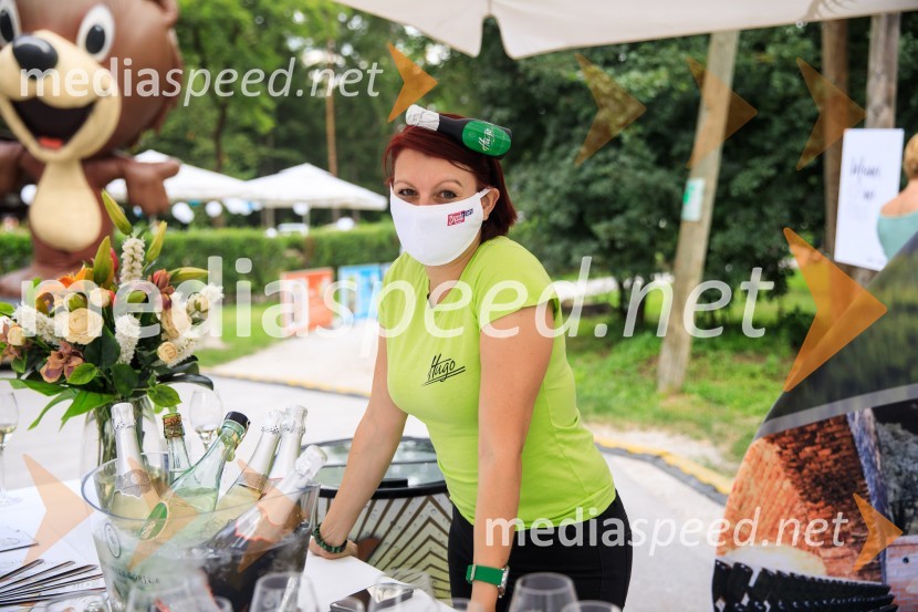 Zvezde pod klobuki 2020