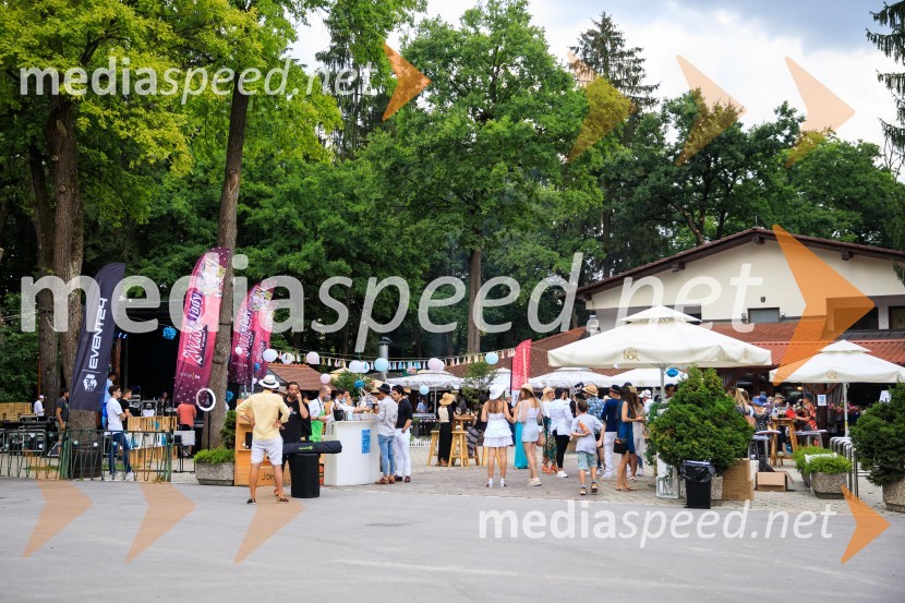 Zvezde pod klobuki 2020