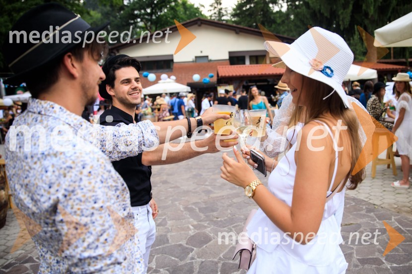 Zvezde pod klobuki 2020