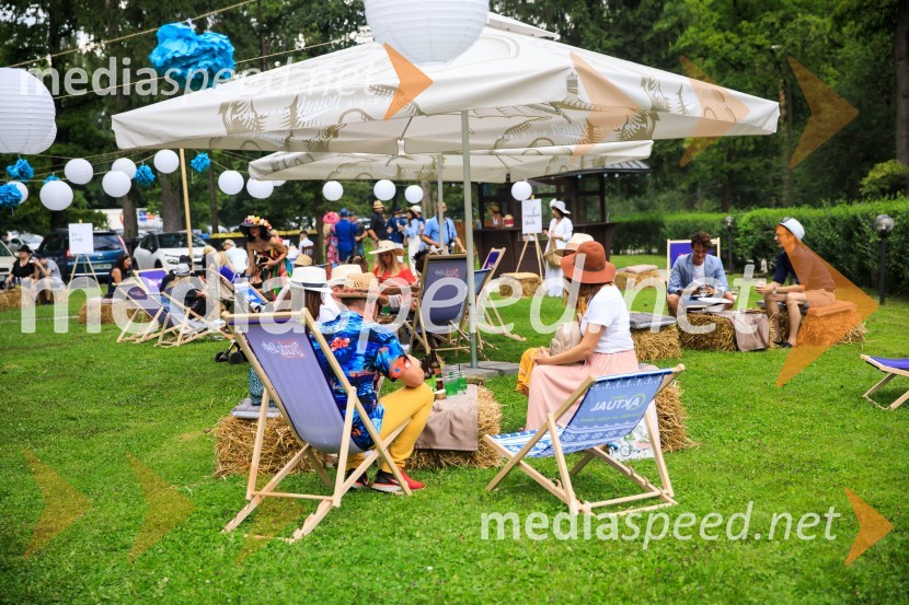 Zvezde pod klobuki 2020