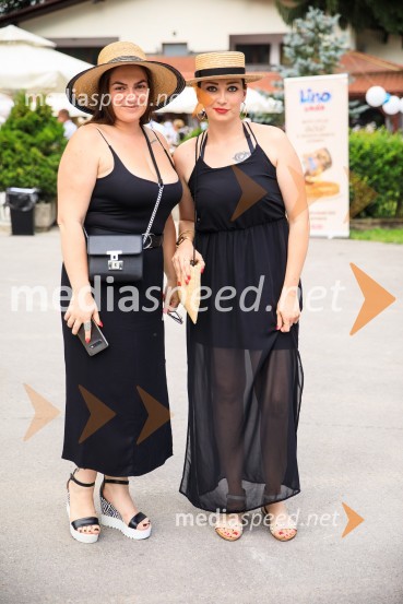 Zvezde pod klobuki 2020