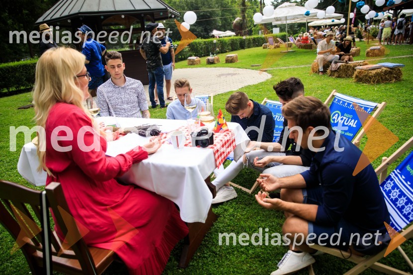 Zvezde pod klobuki 2020