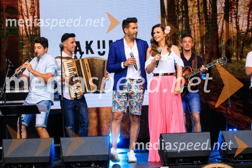  ... ;  ... ;  Domen Kumer, pevec;  Natalija Verboten, pevka;  ... Zvezde pod klobuki 2020