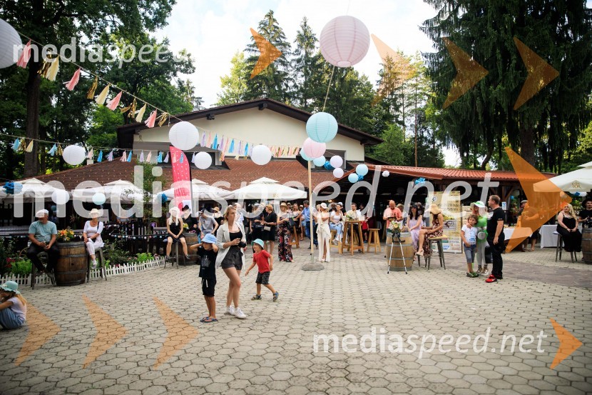 Zvezde pod klobuki 2020