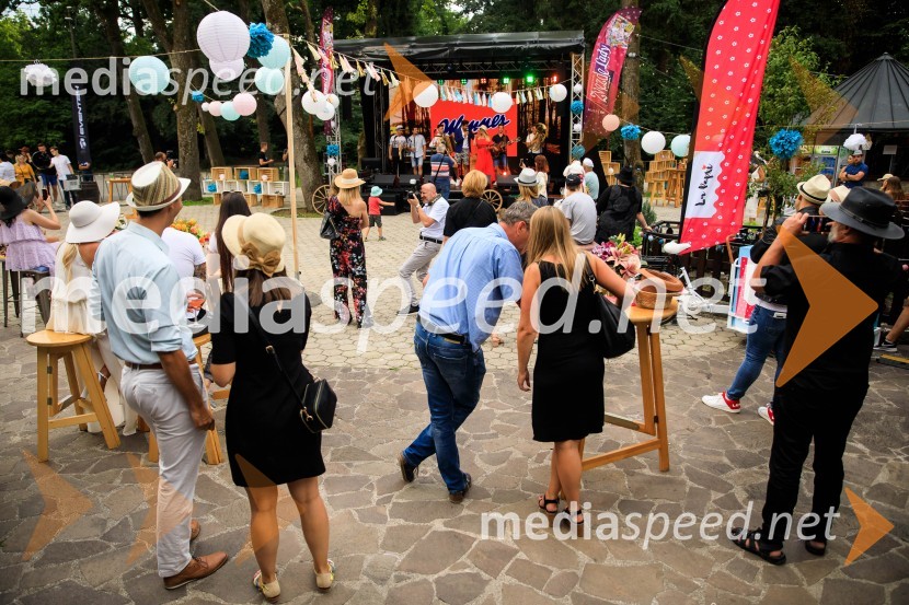 Zvezde pod klobuki 2020