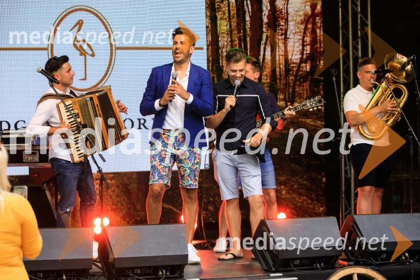  ... ;  Domen Kumer, pevec;  Matic Herceg, Radijski voditelj, moderator, animator;  ... Zvezde pod klobuki 2020