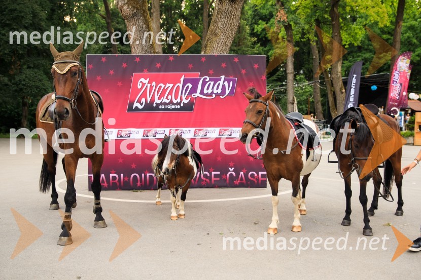 Zvezde pod klobuki 2020