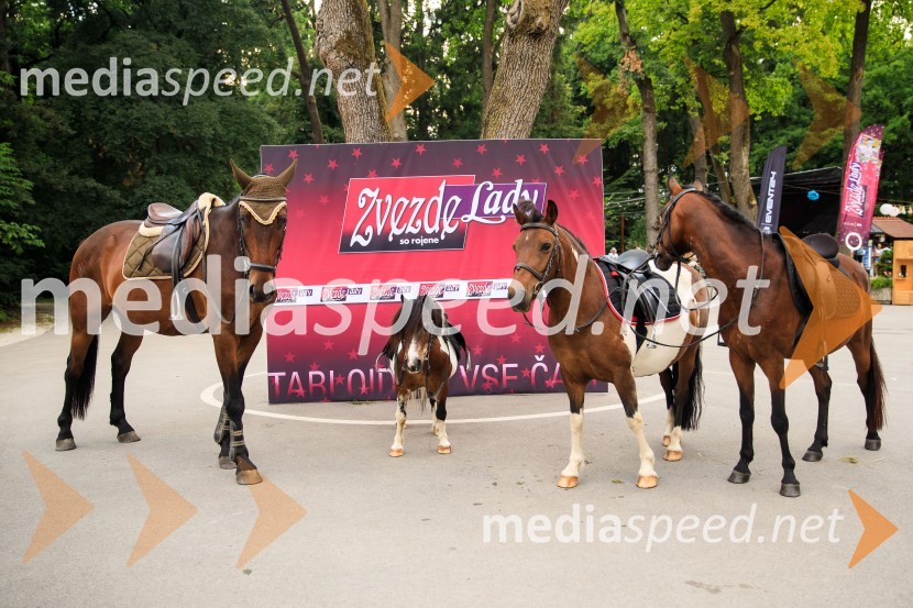 Zvezde pod klobuki 2020