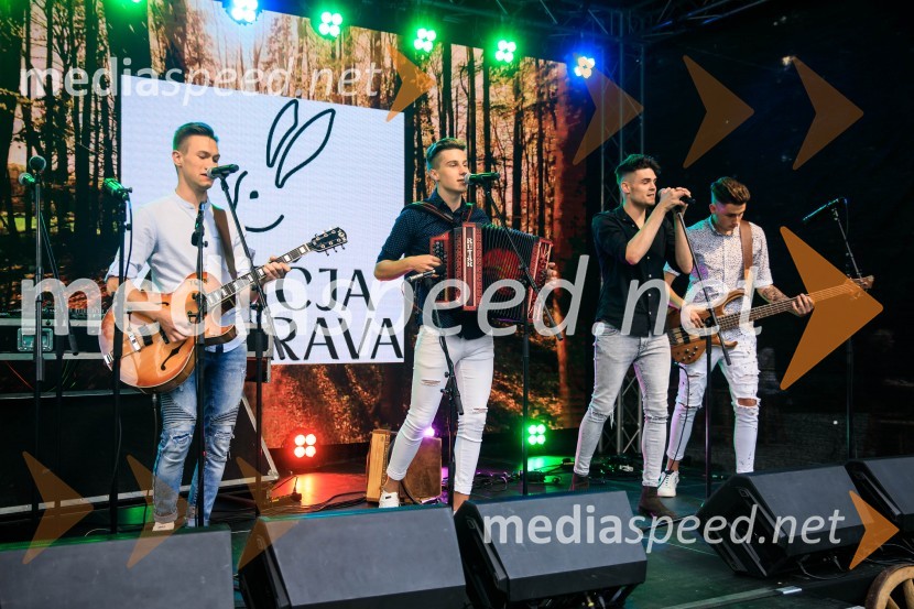 PolkaholikiZvezde pod klobuki 2020