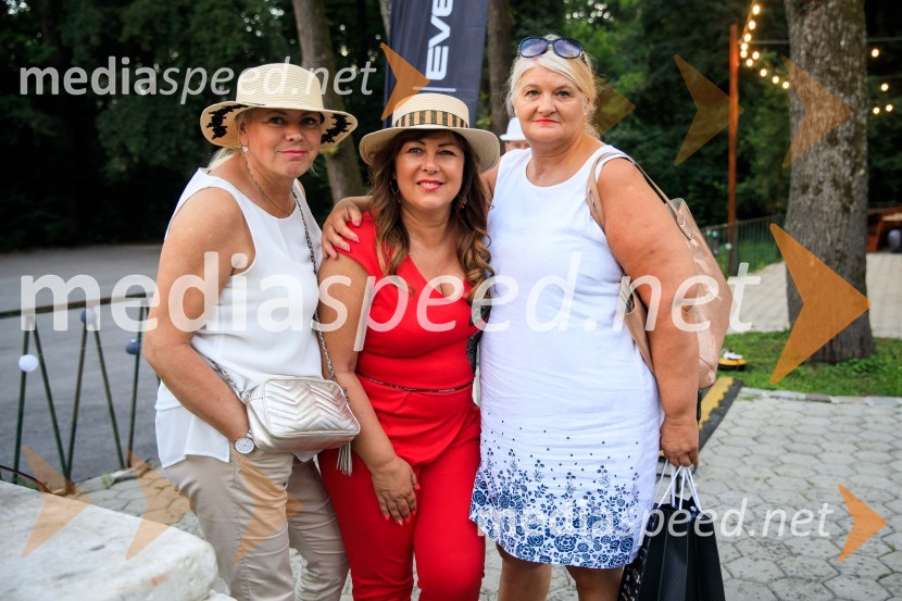 Zvezde pod klobuki 2020