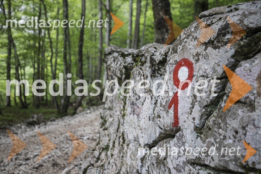 Bambergova pot iz Luknje prek Plamenic je Naj planinska pot 2020