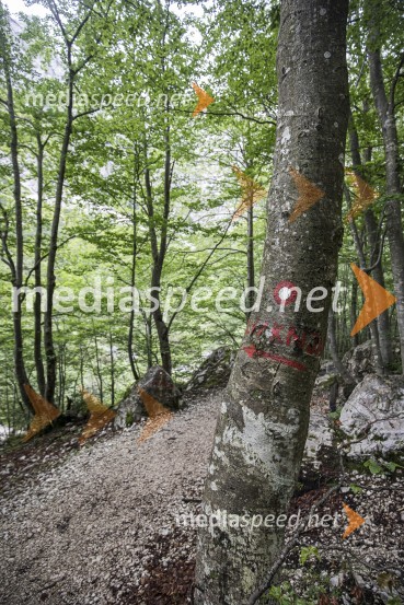 Bambergova pot iz Luknje prek Plamenic je Naj planinska pot 2020