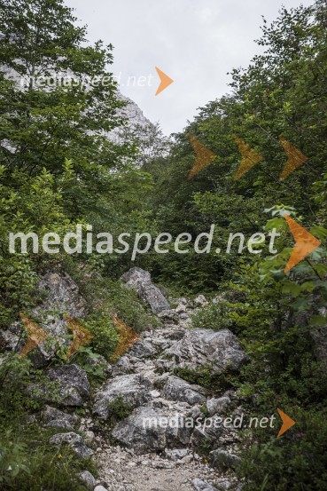 Bambergova pot iz Luknje prek Plamenic je Naj planinska pot 2020