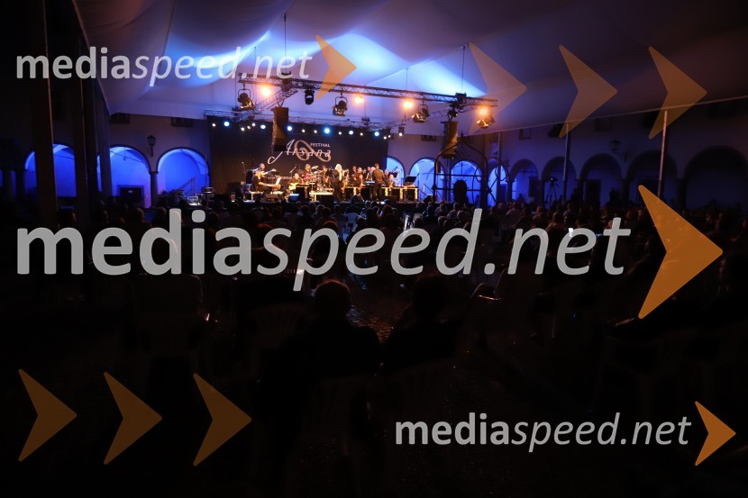 Slavnostna otvoritev festivala Arsana 2020, Big Band RTV SLO s solisti